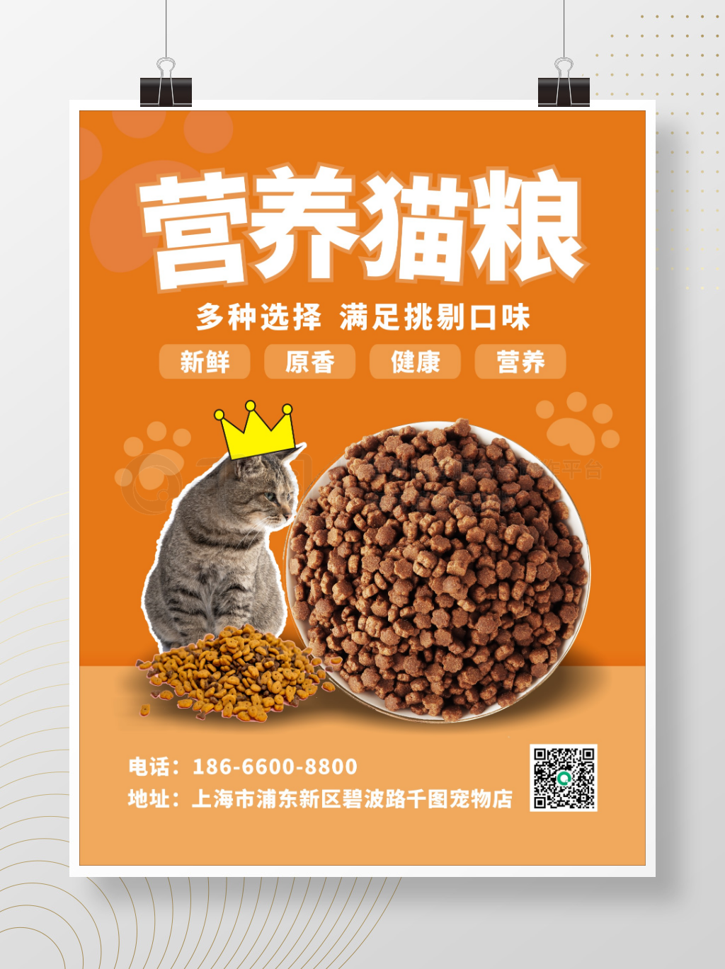 探索营养与安全的臻选之道 —— 免费下载高端猫粮宣传素材