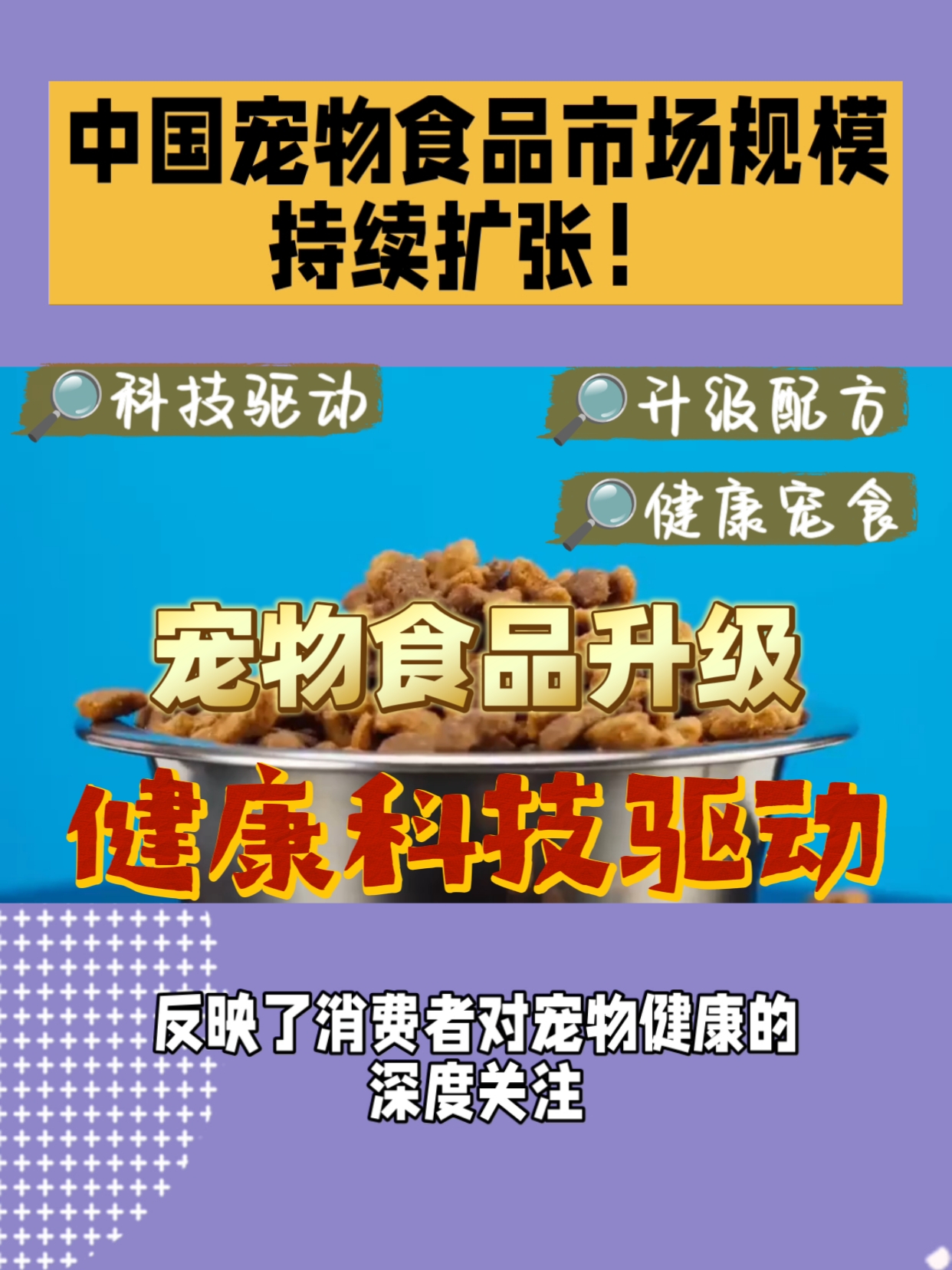 宠物食品市场前景广阔，2024年规模预计达2670亿元