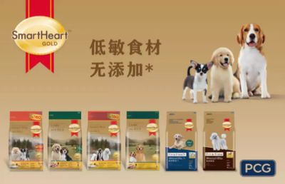 来2019中国(北京)宠物文化节买放心的宠物食品啦~